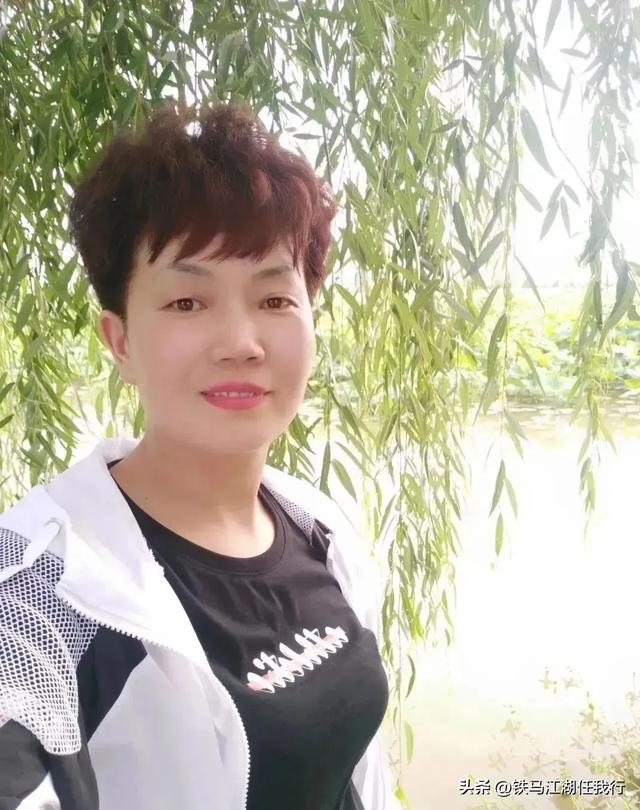 一只猫死在了求生的路上