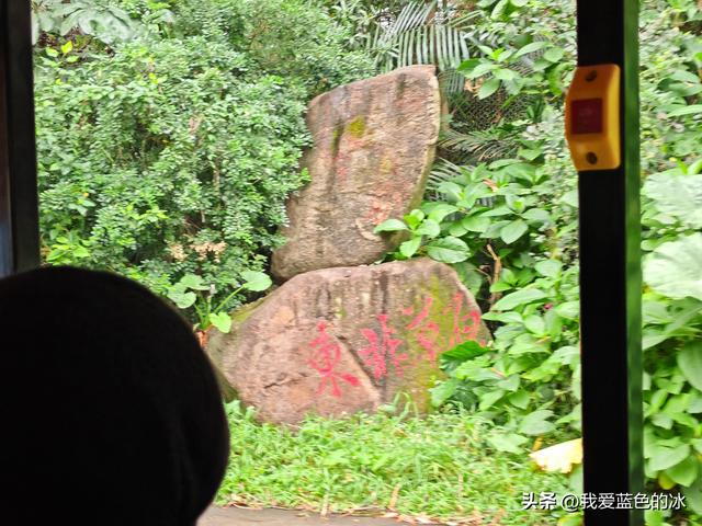 参观广州长隆野生动物园，全程感觉眼累手累腿不累