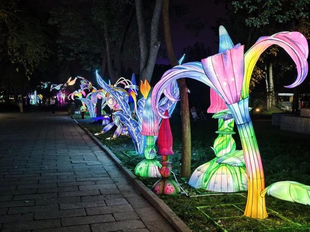 灯会一切就绪，明日正式点亮！现场美图抢先看——