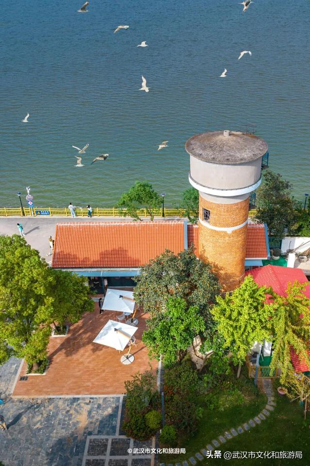 会玩的武汉人，都回村过秋天了