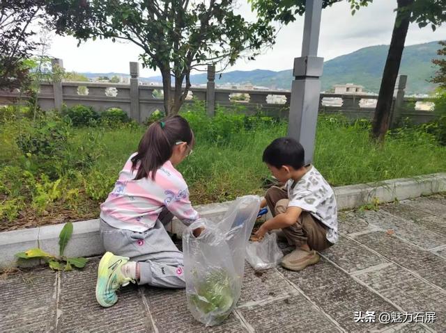 石屏县博物馆小小志愿者来鹤亭文化遗产保护研学活动