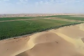 沙漠变土，是颠覆性技术还是“伪科学”？专家们围绕此争论了十年图片