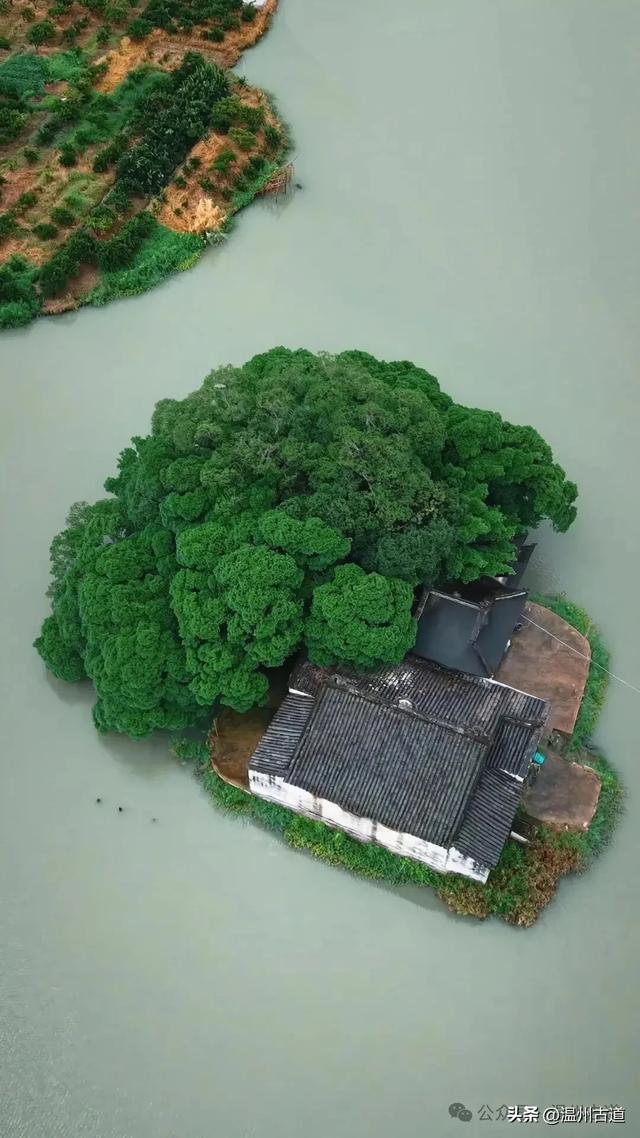 温州居然藏着如此绝妙的水上仙阁,你知道吗?