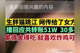 悲哀！胖猫事件的背后说白了就是一个骗局，家长要时刻关注啊图片