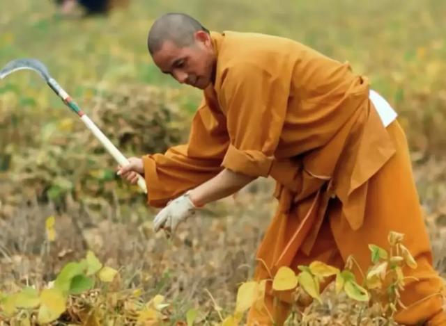 上任才2天，印乐法师和美女大量合影被扒，与释永信区别太明显！