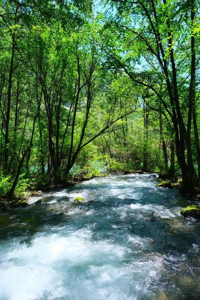 热热热，茂县松坪沟自带降温“凉”方！
