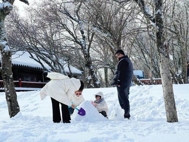 冬日亲子游,首选龙头山!打卡冰雪童话,承包全家欢乐时光~