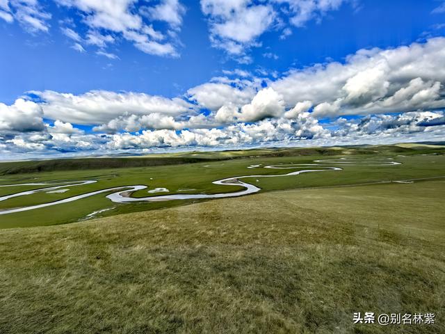 呼伦贝尔自由行，莫日格勒河景区一日游 ，分享游玩攻略和避坑指南