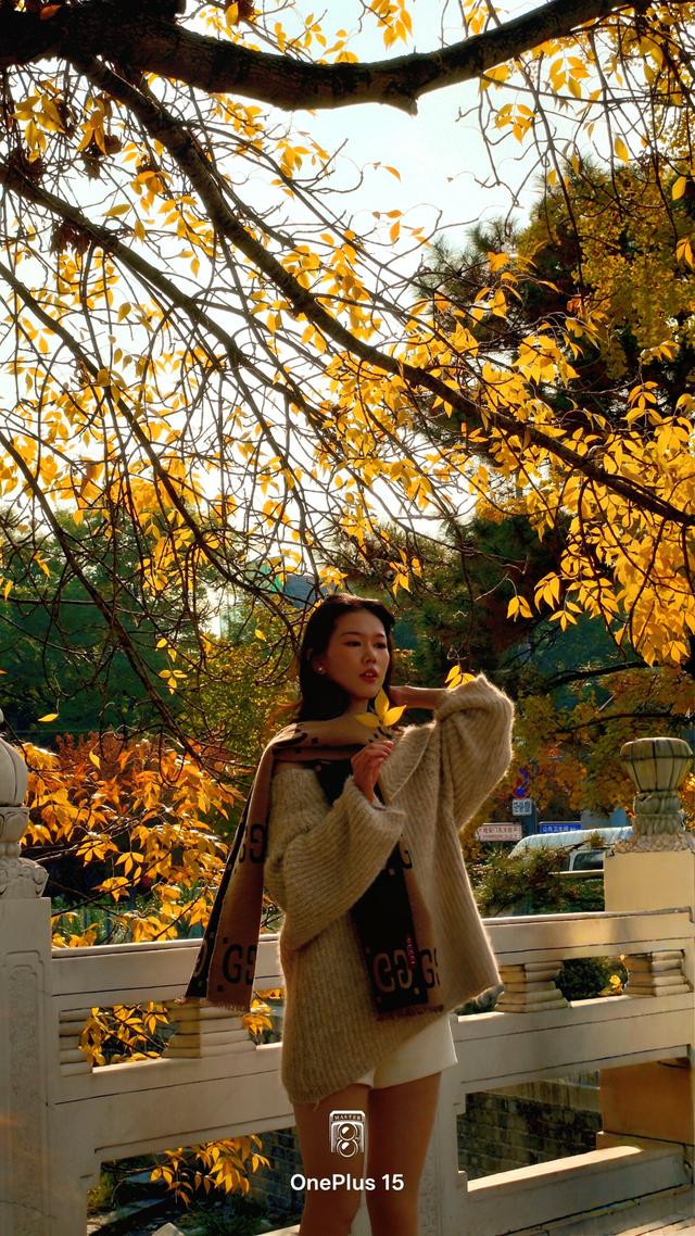 一加15体验：影摄北纬39度线的城市之秋
