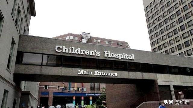 哈佛医学院丑闻：道德底线在利益面前崩塌