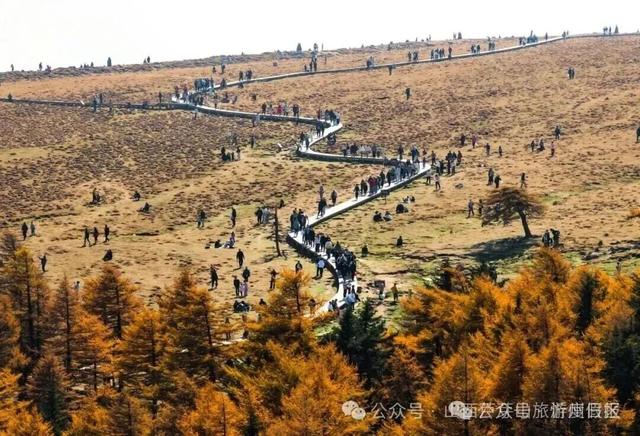 芦芽山国庆假期人气爆棚 红色氛围与秋日风光引客来