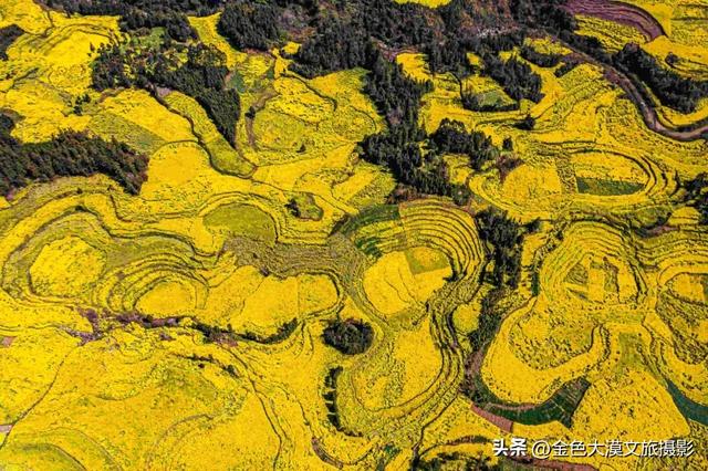 春日爆款!花季限定·2月8日/3月8日出发【花开滇境·七彩云南】8日