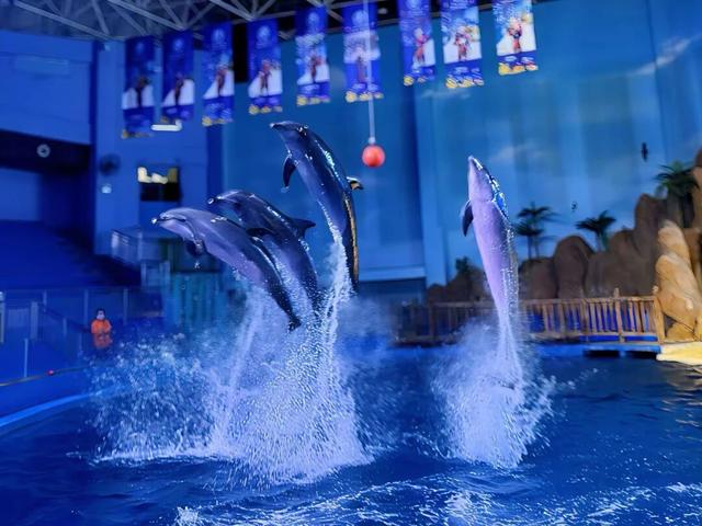 原来真的有城市，可以一天24小时都快乐~（1）