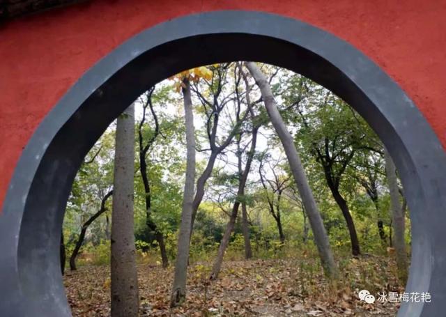 秋游大宗山朗公寺