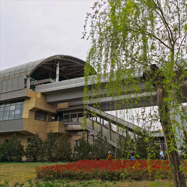 西安藏着神仙春日：坐地铁穿花海，随手释放浪漫，便捷观赏油菜花