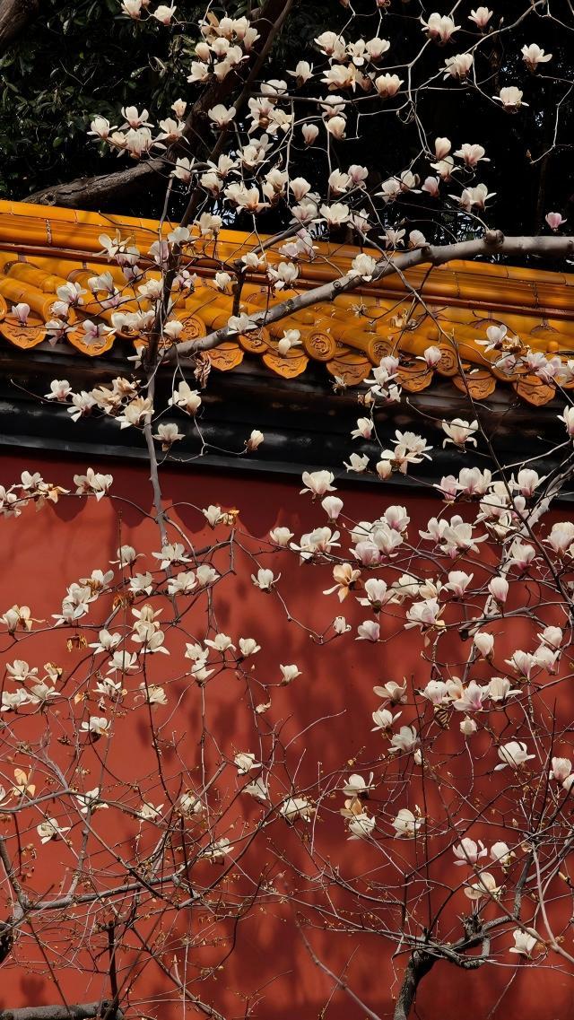 明十三陵：王朝长眠之地，时空穿越全攻略