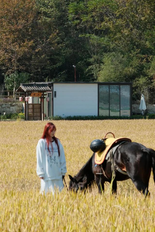 这周都是好天气！黄陂登山徒步赏秋趣！