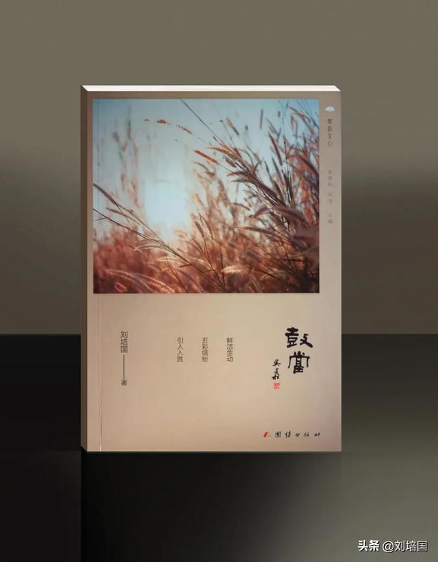 大柴旦一夜