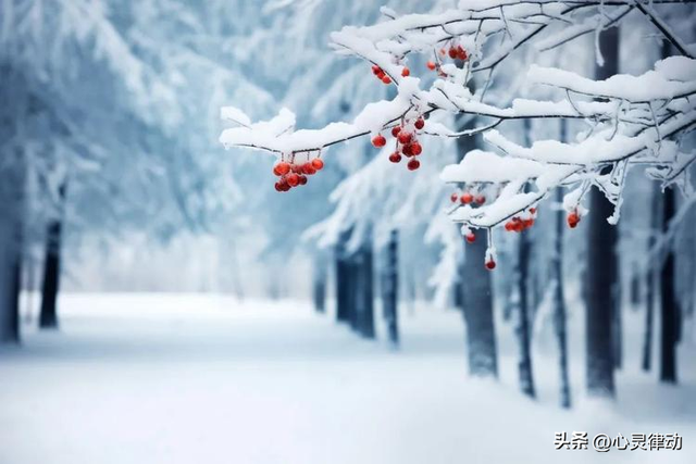 “寒不寒，就看九月十五” 今日九月十五，今冬会很冷吗？农谚咋说