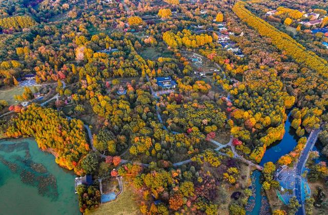 时间在这里按下暂停键,让我们见证季节变换
