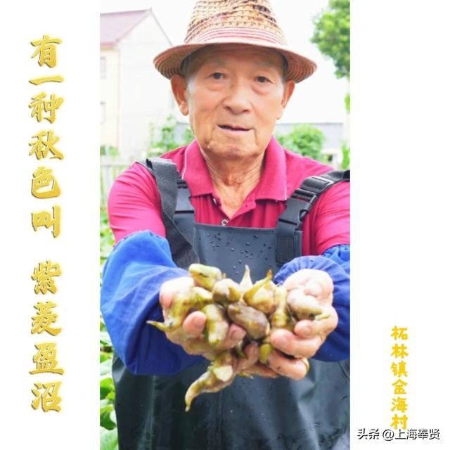 秋分至，奉贤的秋天仪式感拿捏住了！