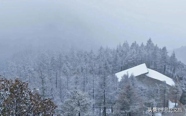 美到犯规！白石山迎来今冬第一场雪