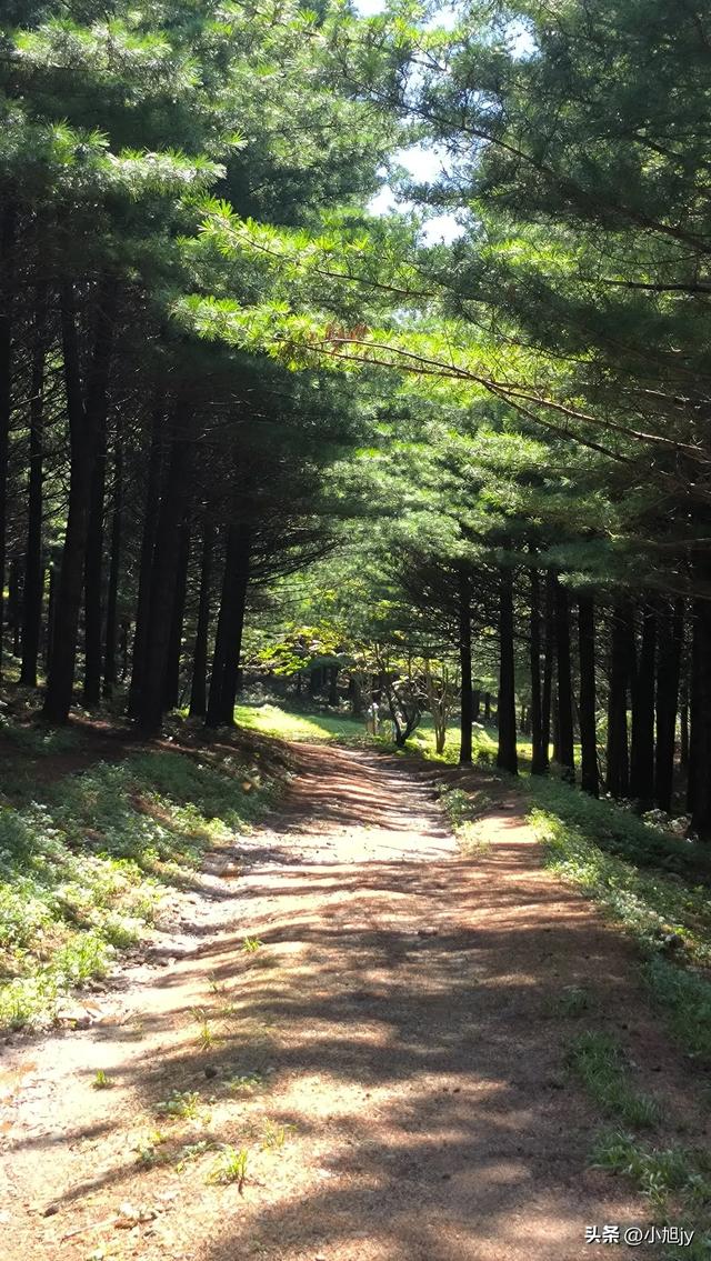 两次本溪南岭徒步记｜高山草甸，湖池松林，我被南岭种草