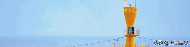 车轮滚过深秋的海湾，闯入红杉与芦花的童话派对！