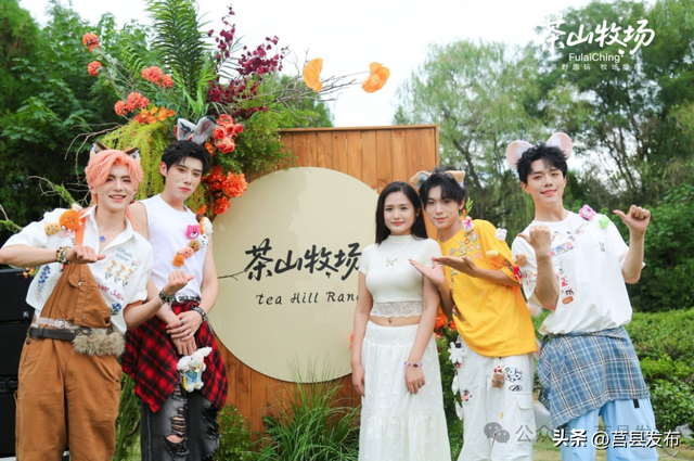 莒县文旅再焕新！浮来青“茶山牧场”开门迎客！
