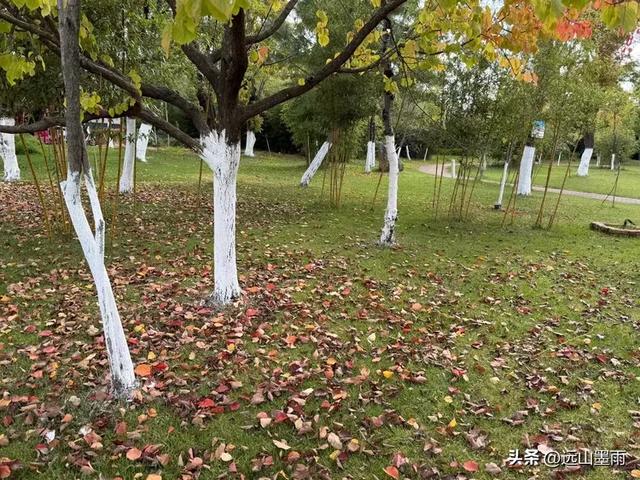 随走呈贡大学城,逛梁王湖、转小土林,感受多彩的秋冬世界,休闲