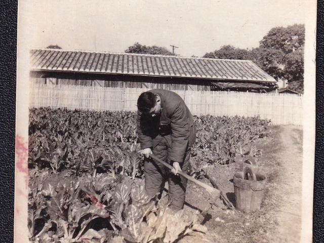 1978年，他从副总理降为工人，被罢免职务后安慰妻子：我不会自尽