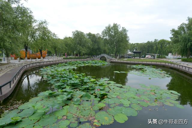 宝坻小辛码头：古渡辛埠藏雅韵，漕声千载忆根源
