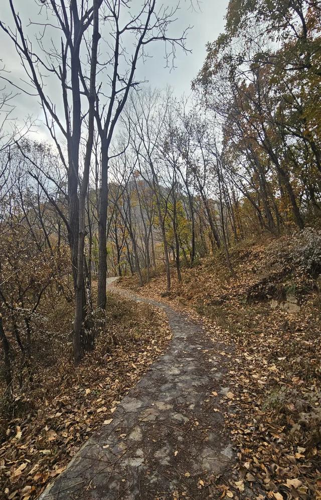 一脚踏进雪与秋的交界处，京郊深山里藏着深秋最温柔的惊喜！​