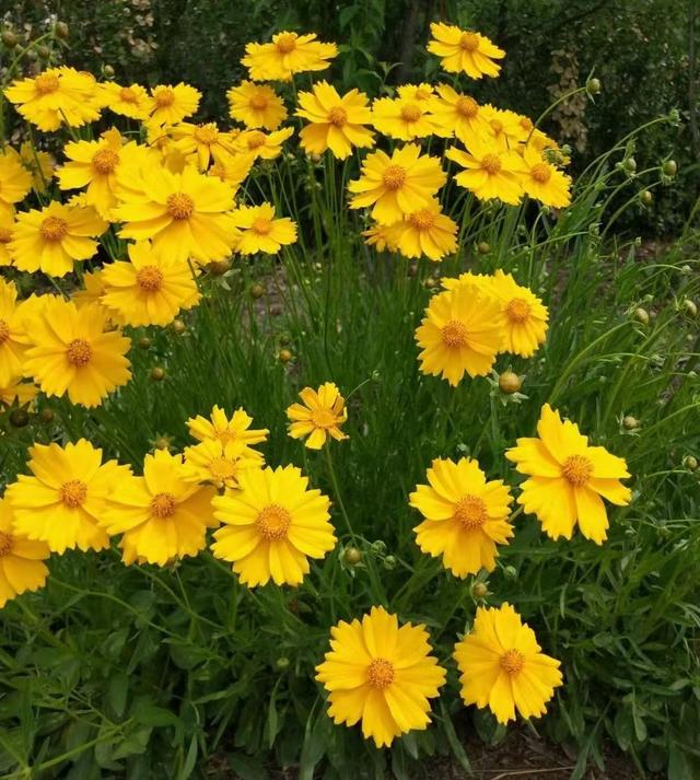 邂逅那一抹醉人的秋色