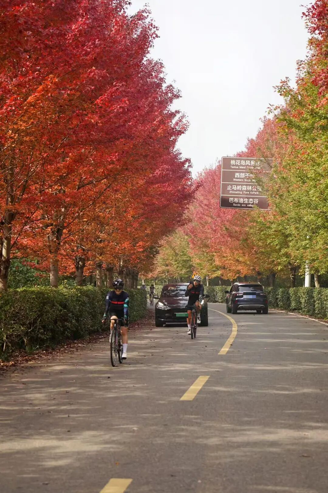 江北这里，红透了！