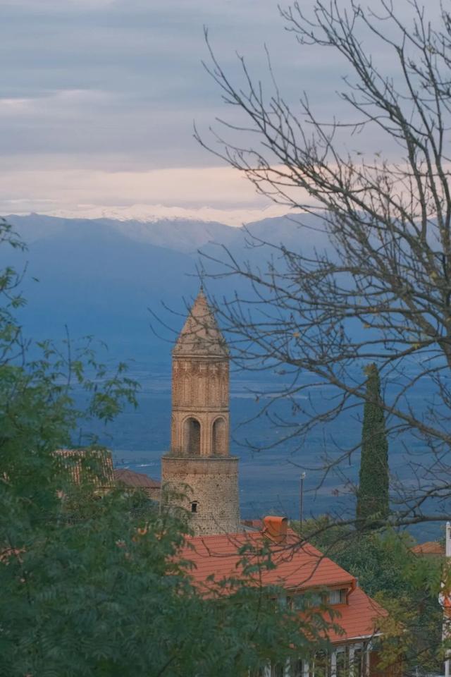 格鲁吉亚，除了代孕还有啥？