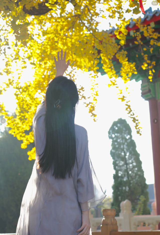 一次门票钱，免费一整年！潍坊5A级景区惠民年卡上线！