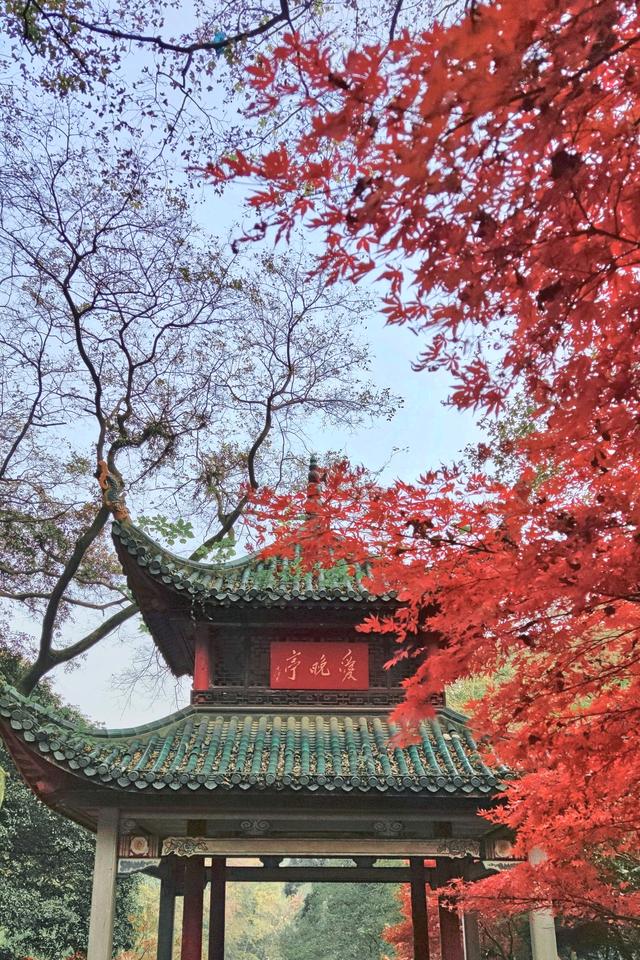 2025国内最受欢迎的50个旅行地，宜老宜少，你去过了几个？