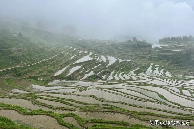 作为一个河南人，去了趟浙江丽水，有三个疑问不明白，忍不住问下