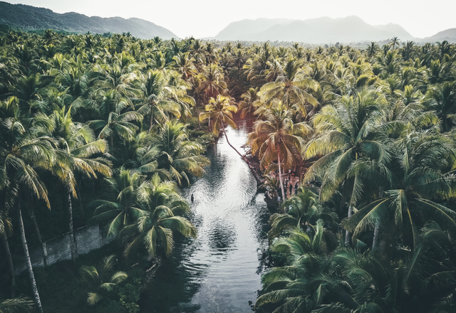 正式官宣！菲律宾对华免签！最全攻略看这里