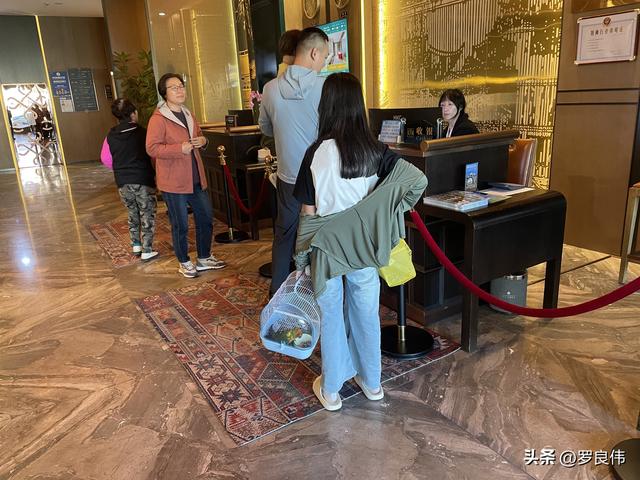 西北自驾第七天：若尔盖至德阳的漫长行驶