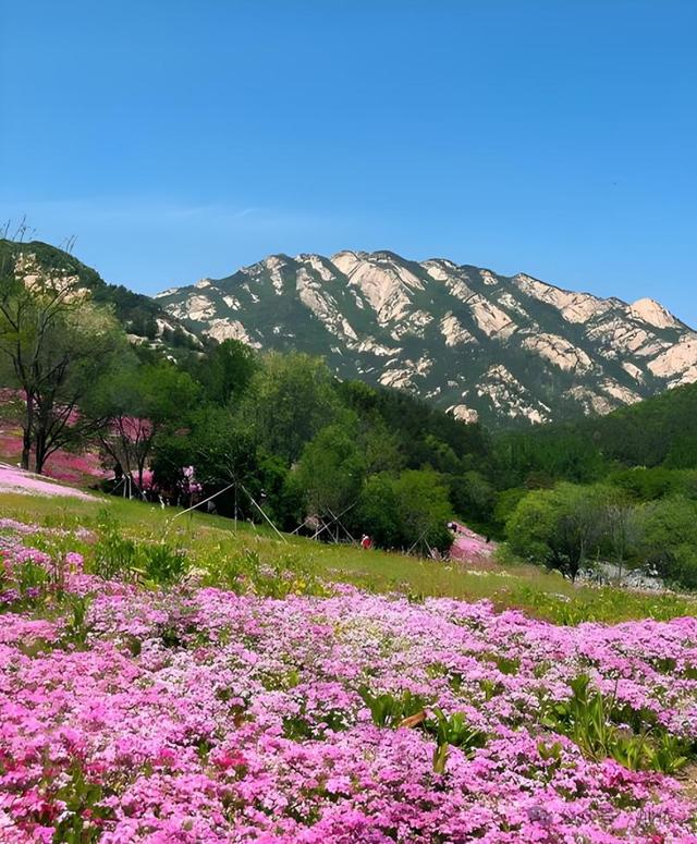 山东这座被低估的仙山，比避暑更让人上头的，是它的水和故事！