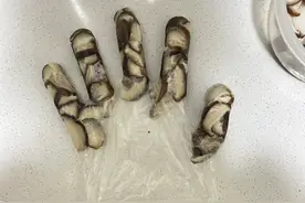 被网友的“打包技术”折服了！不仅操作简单，还能装好取图片