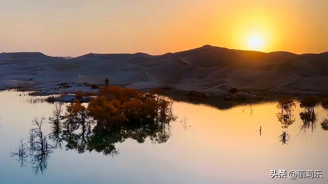 天呐！沙漠里的“金色水上森林”，日落一照直接封神