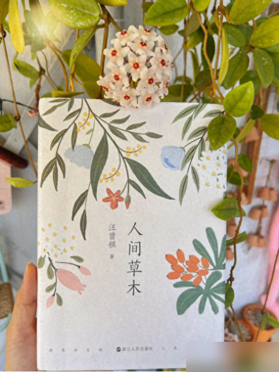 阴花不能进阳宅！这5种花“打死”也不养，家里若有？快挪走！