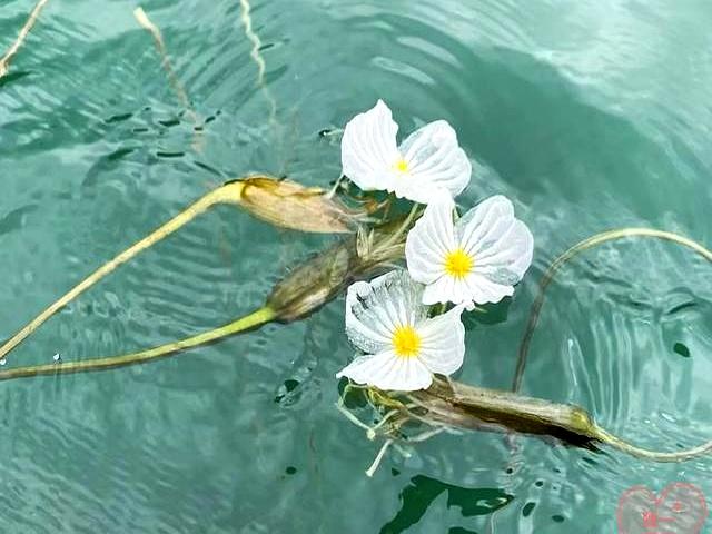 人老了，趁还能动，赶紧把这三件事安排。