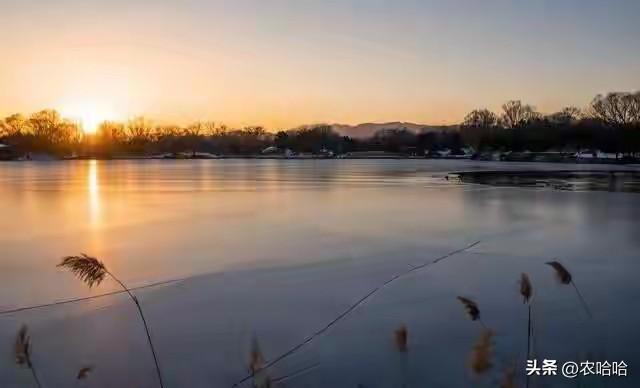 “上午立冬冻死牛，下午立冬暖烘烘”，今年立冬几点？有啥说法？