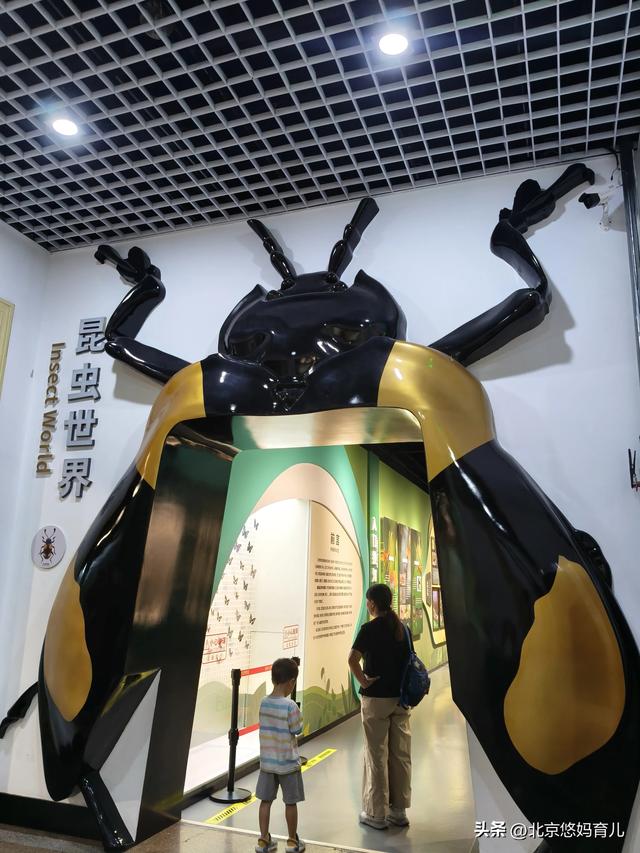 第一次去国家自然博物馆，水族馆和恐龙乐园是8岁孩子的最爱