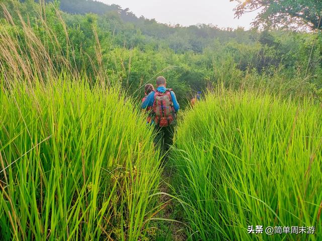 9）山西陵川三载后再赴南太行：18人战暑踏秘境，一程山水一程情