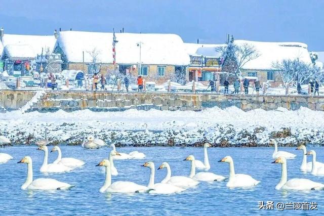 好客山东好品山东｜初雪来了！山东变山“冬”